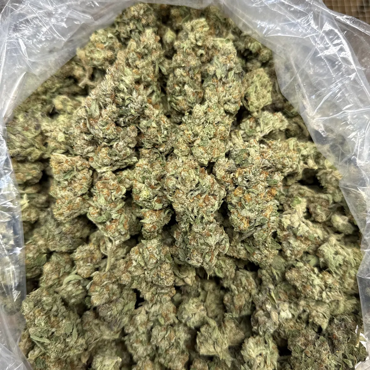 Gelato 41 Flower